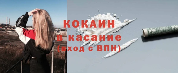 твердый Сатка