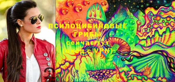 гашик Балабаново