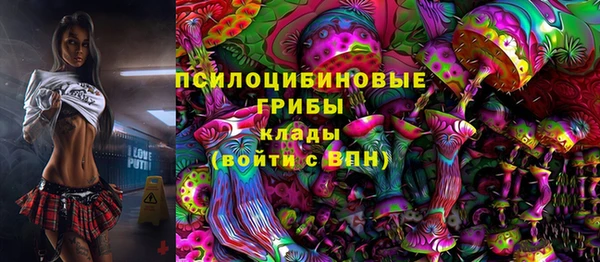 гашик Балабаново