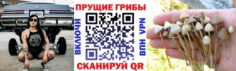 Галлюциногенные грибы мухоморы  Жуков 