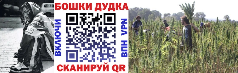 даркнет как зайти  Жуков  Бошки марихуана индика  купить  цена 